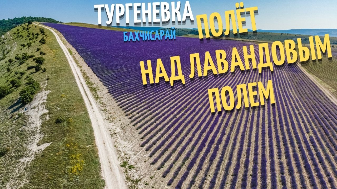 Полёт над самым большим лавандовым полем Крыма. 150 гектаров ароматной красоты! смотреть онлайн