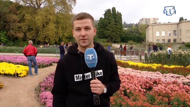 Все цвета радуги кружатся в осеннем вальсе на балу хризантем Никитского ботанического сада смотреть онлайн