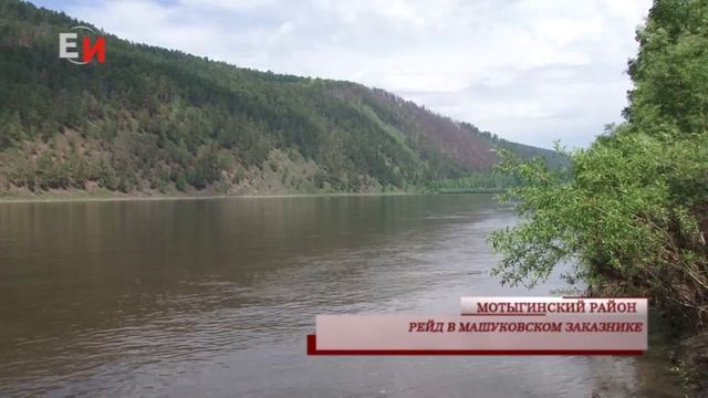 РЕЙД В МАШУКОВСКОМ ЗАКАЗНИКЕ смотреть онлайн