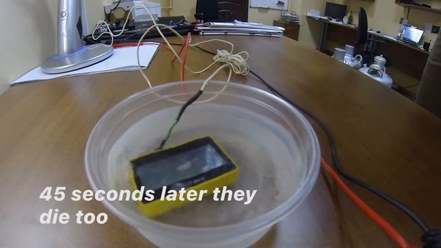 Alter Liquid Nitrogen Test смотреть онлайн