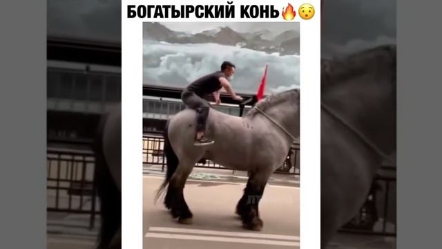 Богатырский конь.