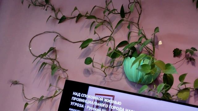 Домашние хлопоты,вкусный обед. Мои цветы,моя слабость. смотреть онлайн