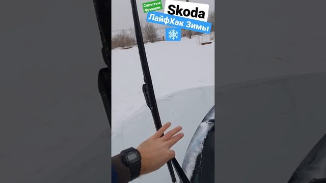 Skoda: Скрытые от Вас Мудрости Зимы ?❄ (2022) смотреть онлайн