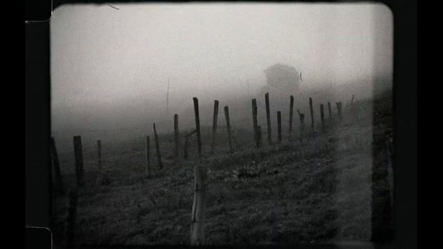 Waltz. Directed By Lado Kvataniya