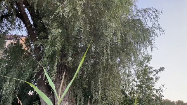 Выходные в Урюпинске | Август, ARTEMOFFEST’23, «Здесь прекрасно» и друзья в качестве спикеров смотреть онлайн