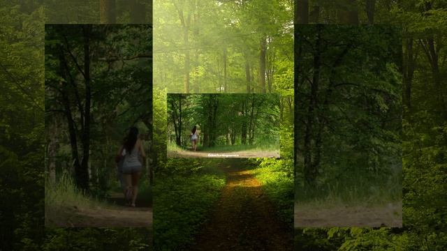 3 things make it difficult to film the deer | SONY | CX405 | FACTS ;) смотреть онлайн