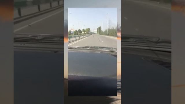 рохи Душанбе регар бародарон хатман обуна шавен да Канали мо смотреть онлайн