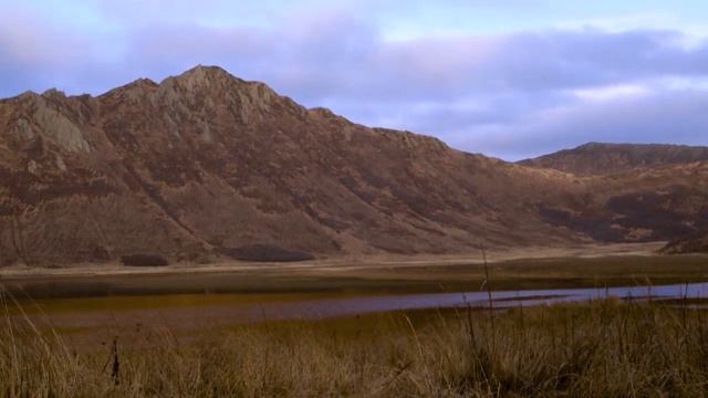 Удачная охота. Снежный человек Ларэми Миллер (SASQUATCH MOUNTAIN MAN) смотреть онлайн