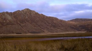 Удачная охота. Снежный человек Ларэми Миллер (SASQUATCH MOUNTAIN MAN)