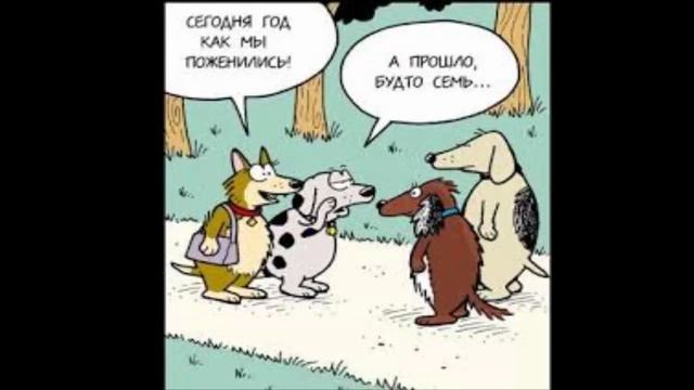 Что будет после свадьбы? Как изменились друзья после свадьбы? смотреть онлайн