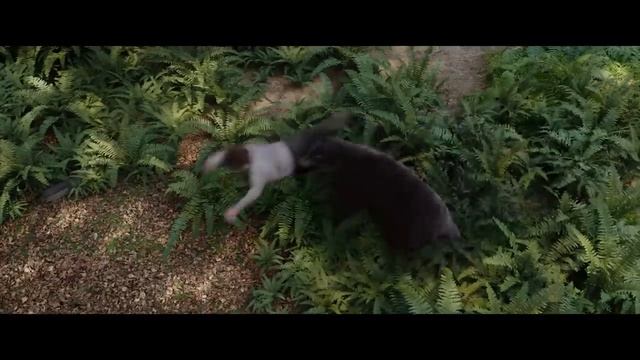 Кокаиновый медведь ? Русский трейлер ? Фильм 2023 смотреть онлайн