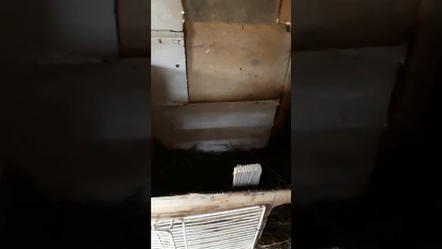 Для гусей сарай и пруд смотреть онлайн