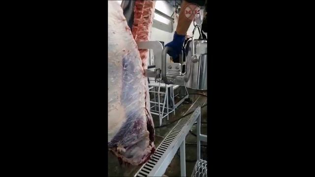 Пила для распиловки грудины шаговая Jarvis EBS 1 (полотно 559 мм, распил КРС)