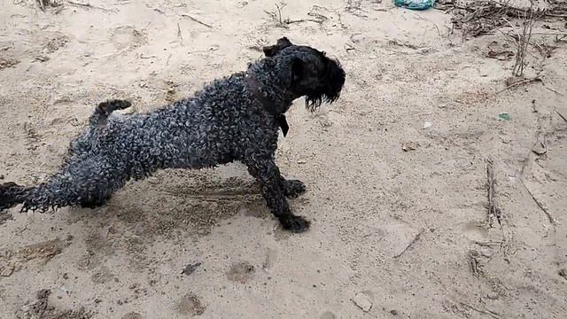 Прогулка на Иртыш(2) смотреть онлайн