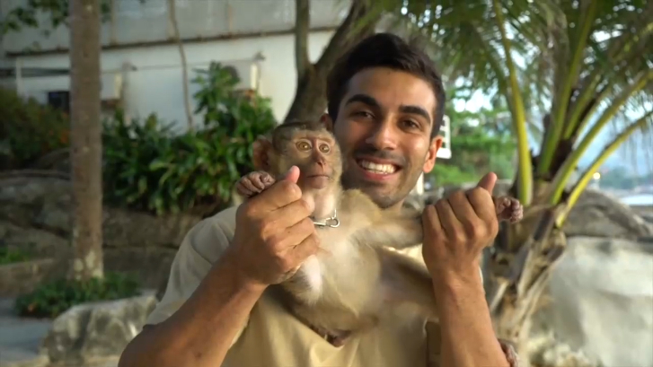 Когда твой питомец - обезьянка смотреть онлайн