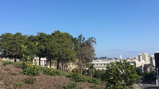Мои приключения в San-Francisco /Сан-Франциско! смотреть онлайн