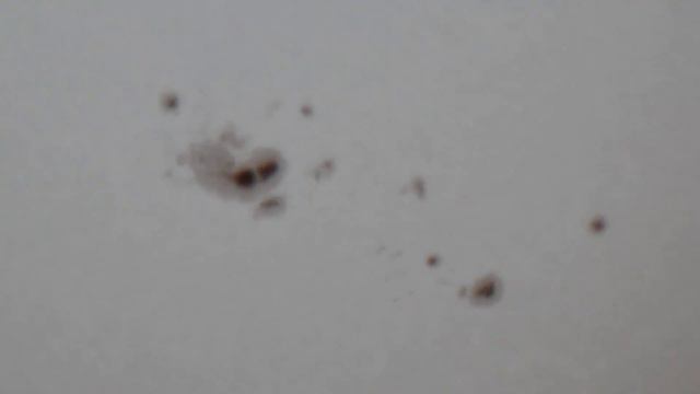 AR1520 with AR1519 and AR1521 смотреть онлайн