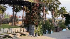 Сочи Парк зимой в январе 2023 года