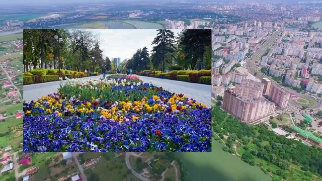 "Об охране городского сада, скверов, бульваров, Первомайской рощи и прочих зелёных насаждений" смотреть онлайн