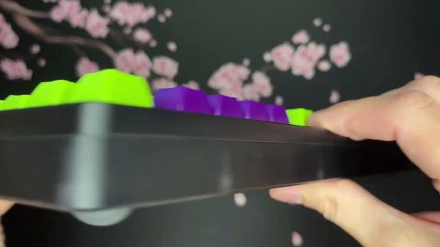 AKKO ACR PRO 75 ОБЗОР И СБОРКА КАСТОМА | ЭТА БАЗА БУДЕТ ТАКОЙ, КАК ТЫ ХОЧЕШЬ