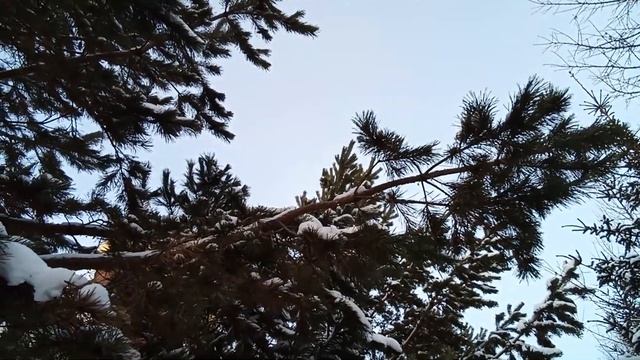 Очень сильная молитва уберегает от бед. Молитва Богородице меняет судьбу прямо сейчас смотреть онлайн