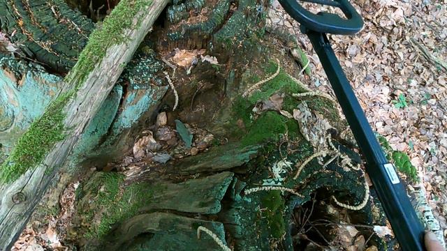 поиски клада