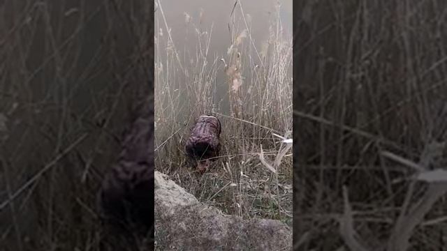 Рыбалка на сома. Река Кума смотреть онлайн