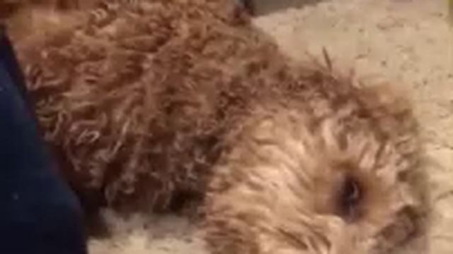 Настроение смотреть онлайн