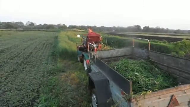 трактор форте-135-09 смотреть онлайн