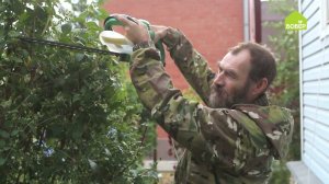 Как обрезать жасмин / Формируем жасмин после цветения / Жасмин отцвёл — пора обрезать