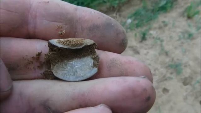 Metal Detecting Bavaria 2017 with Gerd. Part 555 Permission 3 Silver 10 Kreuzer Roßthal 19 May . смотреть онлайн
