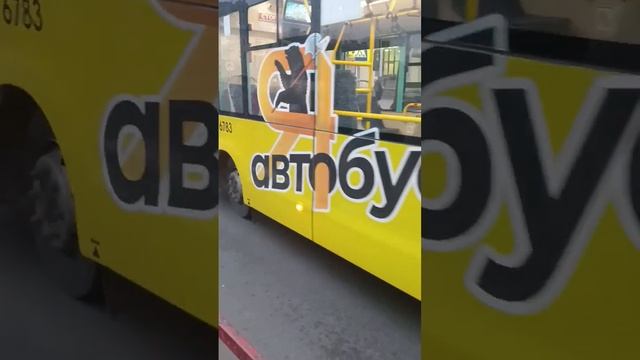 автобус 176 маршрут ? #автобус #ярославль #яавтобус смотреть онлайн