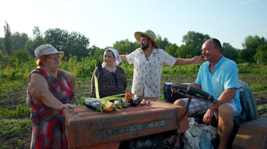 Четыре дачи: Краснодарский край 2