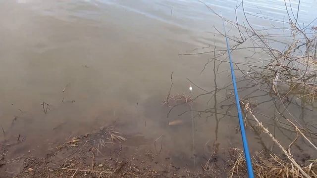 Рыбалка на Томи Улус 2022 смотреть онлайн