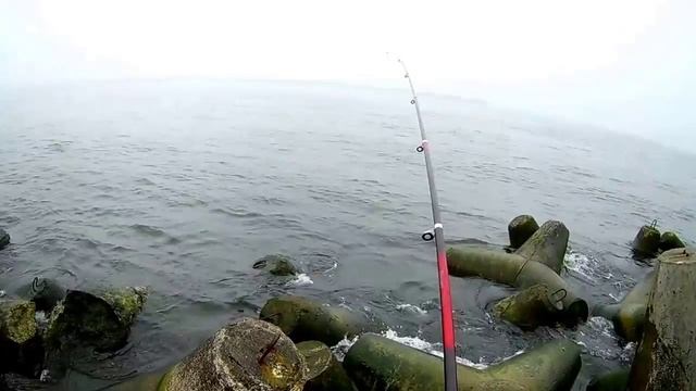 салака в балтийском море !!! город Балтийск ! 2017 смотреть онлайн