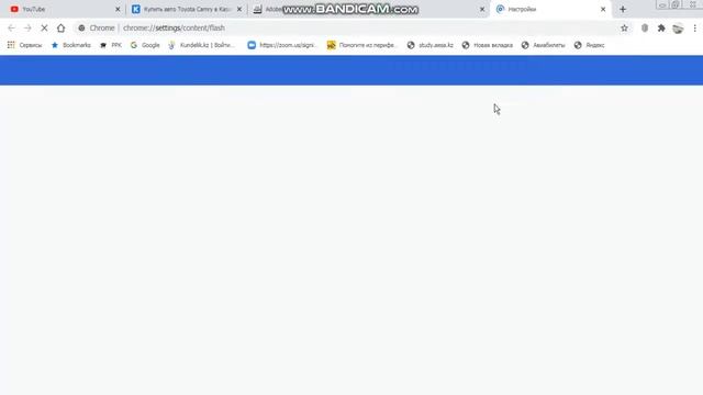 как в adobe connect активировать flash player смотреть онлайн