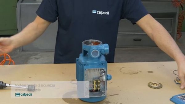 Calpeda T, TP / Разборка