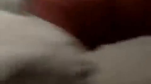 Собака пристаёт к девушке. смотреть онлайн