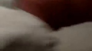 Собака пристаёт к девушке.