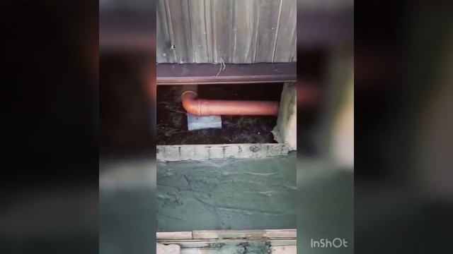 Отмостка у дачного дома женскими руками