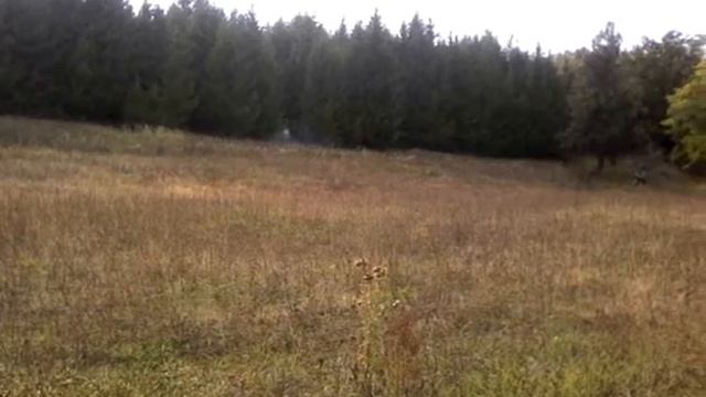 Юра выезд из леса/и очень много дыма смотреть онлайн
