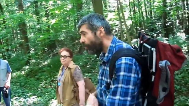 Экскурсия в природно-исторический парк "Битцевский лес" 23.06.2015. Часть 2. смотреть онлайн