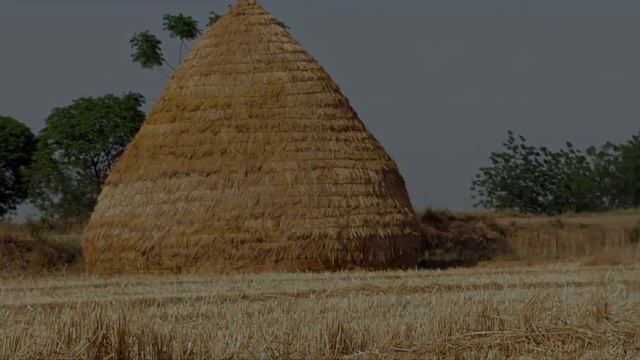 JISM DA SAUDA || PART 2 || NEW PUNJABI SHORT MOVIE || BRAND D смотреть онлайн