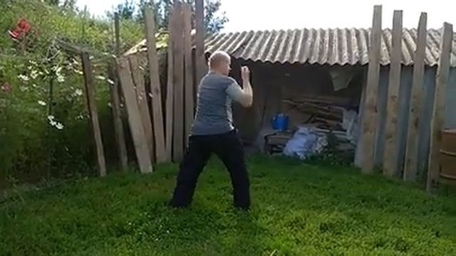 И лу Чжаопи - вариант наполнения пластической стойки и Лутана (C) Sergey S. Belonin смотреть онлайн