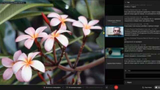 Онлайн-семинар. Год 2022. Новые электронные документы по учету древесины.Часть 2 смотреть онлайн