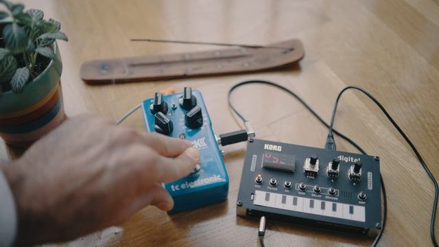 Ambient Sky with Korg NTS-1 and Flashback 2 смотреть онлайн