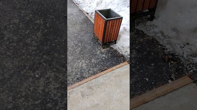 Утро #утро #мысли #хорошеенастроение @Xopowo смотреть онлайн