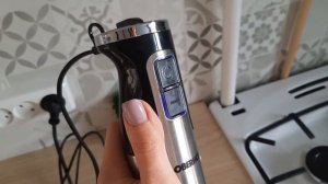 Обзор погружного блендера Oberhof Wirbel E5