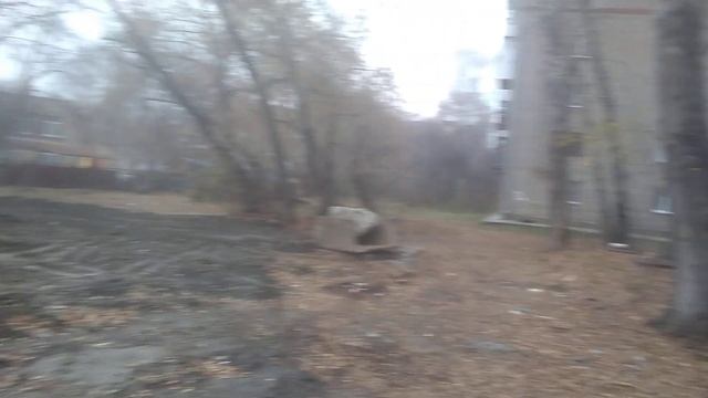 Новосибирск26окт2023День13-йХроникиПолеЧудесРозыскАвтораКвеста смотреть онлайн