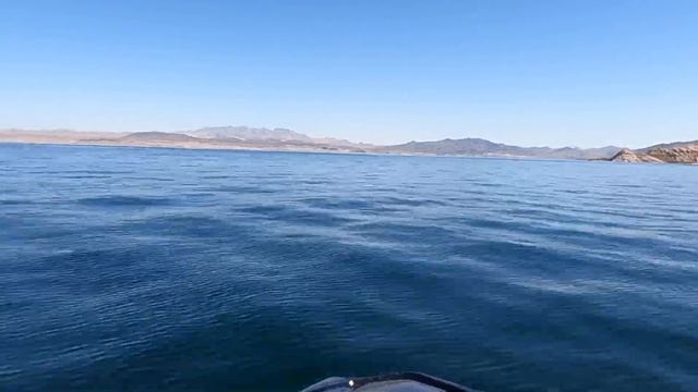 2019 GTX Limited 300 Riva Stage 4 Plus